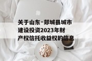 关于山东·郯城县城市建设投资2023年财产权信托收益权的信息