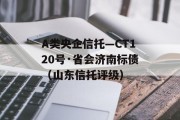 A类央企信托—CT120号·省会济南标债（山东信托评级）