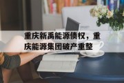 重庆新禹能源债权，重庆能源集团破产重整