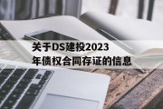 关于DS建投2023年债权合同存证的信息