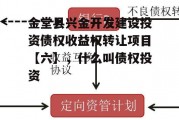 金堂县兴金开发建设投资债权收益权转让项目【六】，什么叫债权投资