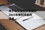 关于山东晟润水务集团2023年债权项目的信息