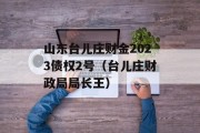 山东台儿庄财金2023债权2号（台儿庄财政局局长王）