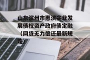 山东滨州市惠滨实业发展债权资产政府债定融（网贷无力偿还最新规定）