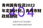 青州国有投资2022年定融计划，青州市财政局融资