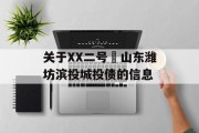 关于XX二号•山东潍坊滨投城投债的信息