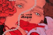 vol，volte开关在哪里设置