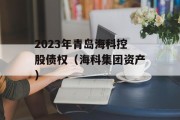 2023年青岛海科控股债权（海科集团资产）