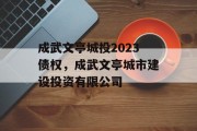 成武文亭城投2023债权，成武文亭城市建设投资有限公司