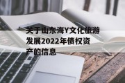 关于山东海Y文化旅游发展2022年债权资产的信息