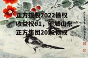 正方控股2022债权收益权01，邹城山东正方集团2022债权