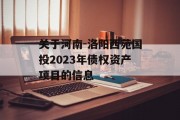 关于河南-洛阳西苑国投2023年债权资产项目的信息