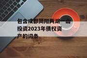 包含成都简阳两湖一山投资2023年债权资产的词条