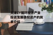 天津ZY循环经济产业投资发展债权资产的简单介绍