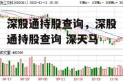 深股通持股查询，深股通持股查询 深天马