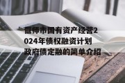 偃师市国有资产经营2024年债权融资计划政府债定融的简单介绍