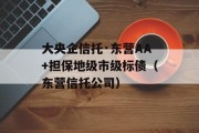 大央企信托·东营AA+担保地级市级标债（东营信托公司）