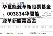 华夏能源革新股票基金，003834华夏能源革新股票基金