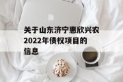 关于山东济宁惠欣兴农2022年债权项目的信息