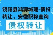 饶阳县鸿源城建-债权转让，安徽职称查询