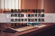 重庆万盛经开区城投政府债定融（重庆市万盛经济技术开发区开发投资集团有限公司）