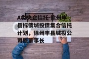 A类央企信托-徐州丰县标债城投债集合信托计划，徐州丰县城投公司原董事长