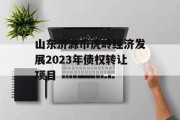 山东济源市虎岭经济发展2023年债权转让项目