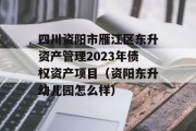 四川资阳市雁江区东升资产管理2023年债权资产项目（资阳东升幼儿园怎么样）