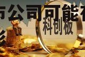 创业板上市公司，创业板上市公司可能存在以下情形