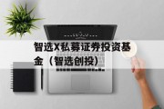 智选X私募证券投资基金（智选创投）