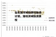 山东潍河城投债权融资计划，潍坊滨城投资债权