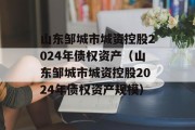 山东邹城市城资控股2024年债权资产（山东邹城市城资控股2024年债权资产规模）