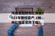 河南安阳林州红旗渠2023年债权资产（林州红旗渠官网下载）