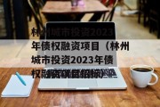 林州城市投资2023年债权融资项目（林州城市投资2023年债权融资项目招标）