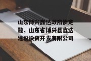 山东博兴鑫达政府债定融，山东省博兴县鑫达建设投资开发有限公司