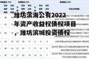 潍坊滨海公有2022年资产收益权债权项目，潍坊滨城投资债权