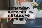 重庆鸿业实业2023年债权资产项目（重庆鸿业实业2023年债权资产项目招标）