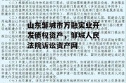 山东邹城市万融实业开发债权资产，邹城人民法院诉讼资产网