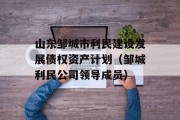 山东邹城市利民建设发展债权资产计划（邹城利民公司领导成员）