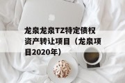 龙泉龙泉TZ特定债权资产转让项目（龙泉项目2020年）