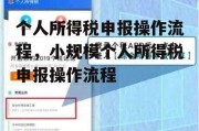 个人所得税申报操作流程，小规模个人所得税申报操作流程