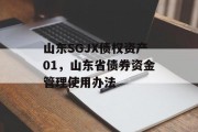 山东SGJX债权资产01，山东省债券资金管理使用办法