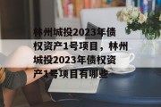 林州城投2023年债权资产1号项目，林州城投2023年债权资产1号项目有哪些