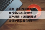 河南·洛阳西苑国有资本投资2023年债权资产项目（洛阳西苑遗址保护区位置在哪）