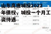 山东高唐城投2022年债权，城投一个月工资待遇