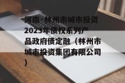 河南·林州市城市投资2023年债权系列产品政府债定融（林州市城市投资集团有限公司）