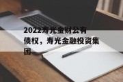 2022寿光金财公有债权，寿光金融投资集团