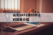 山东SKFZ债权转让的简单介绍