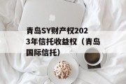 青岛SY财产权2023年信托收益权（青岛国际信托）