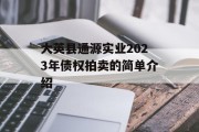 大英县通源实业2023年债权拍卖的简单介绍